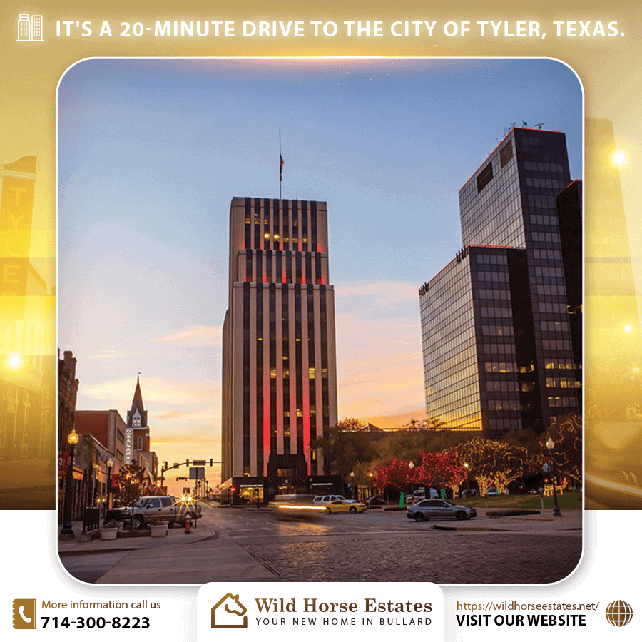 20 Min for Driving - City Tyler - Texas - Wild Horse Estates to Driving